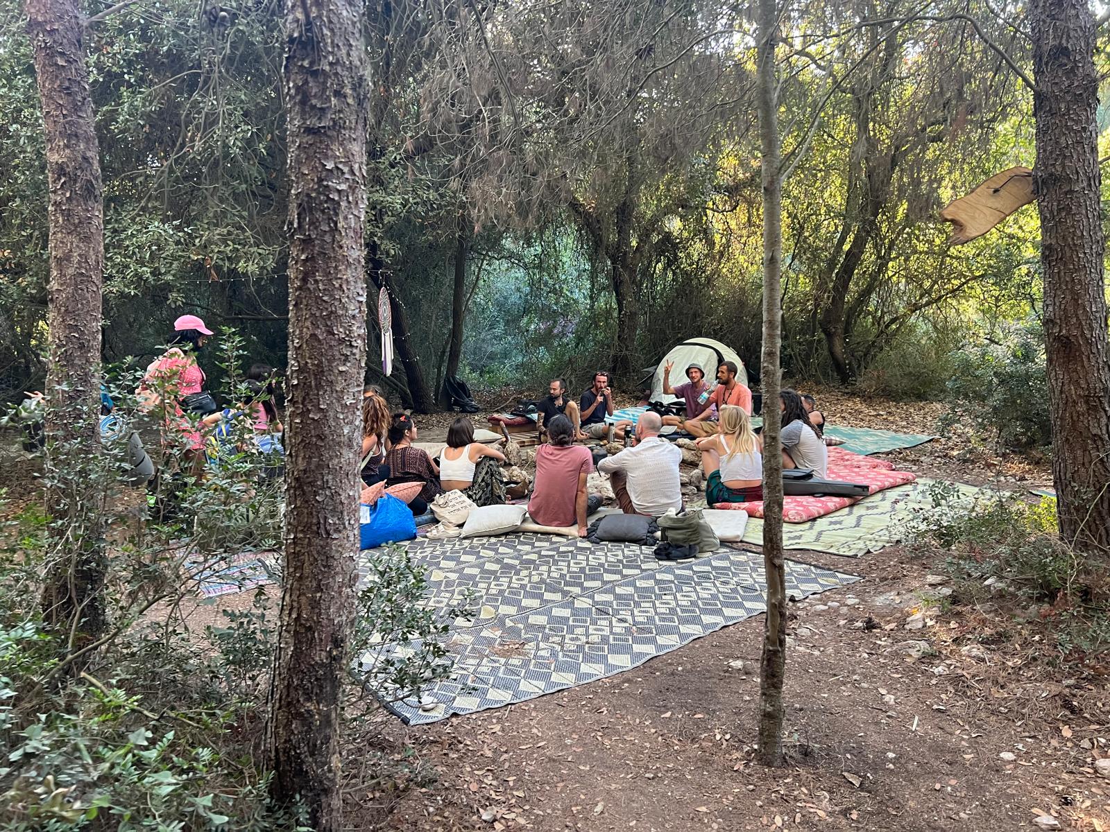 מעגל ישיבה על מזרונים ושטיחים בין עצי אורן