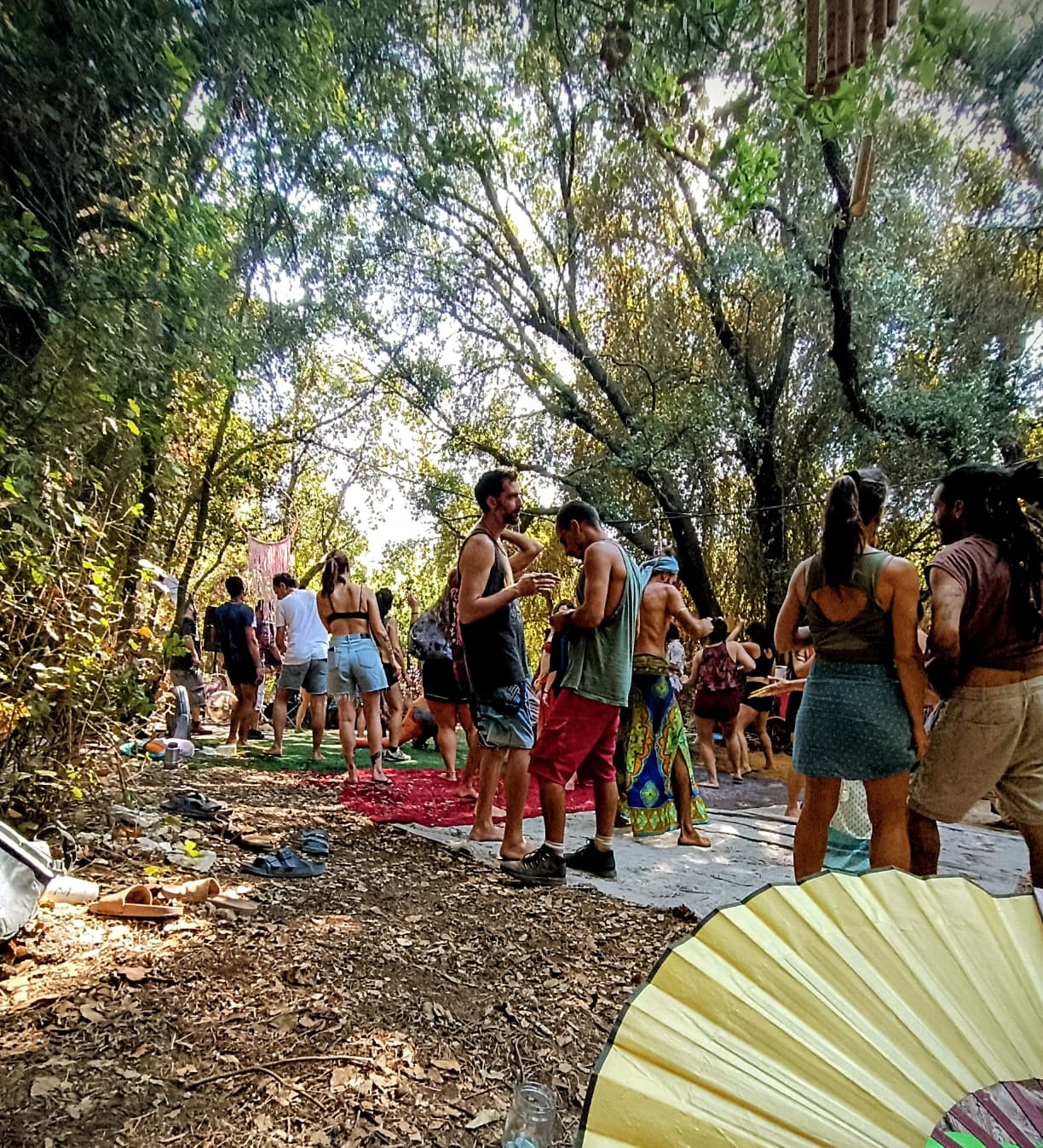אנשים עומדים ומשוחחים בין העצים באור יום